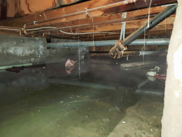 Best 24/7 water damage repair  in Sparta, WI