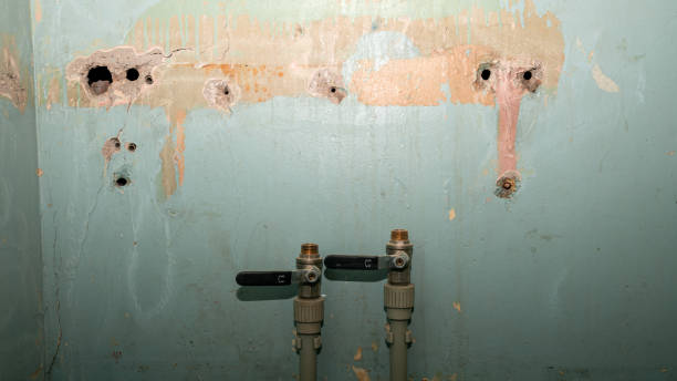 Best Water damage contractors near me  in Sparta, WI